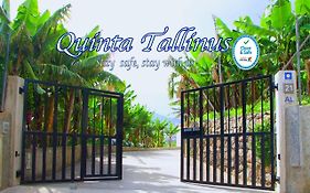Quinta Tallinus
